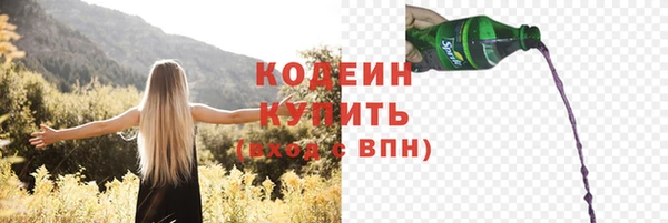прущие грибы Балахна