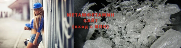 прущие грибы Балахна