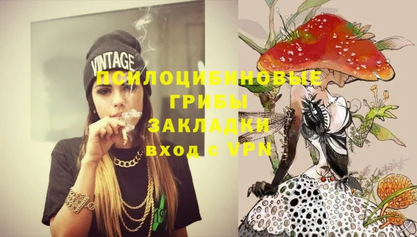 apvp Покров
