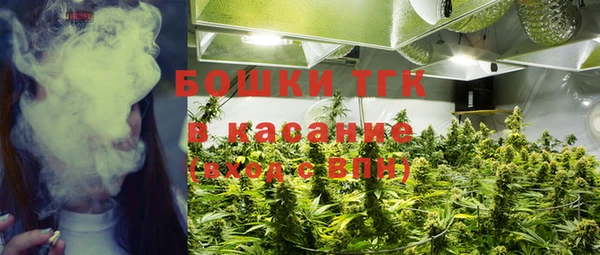 прущие грибы Балахна