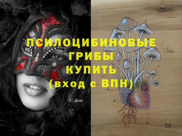 apvp Балабаново