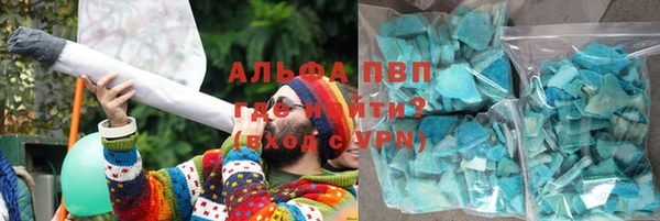 прущие грибы Балахна