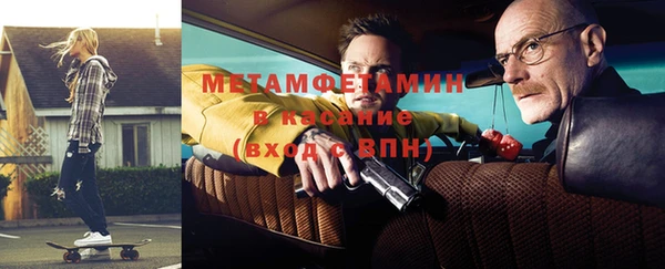 прущие грибы Балахна