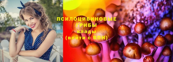 apvp Балабаново