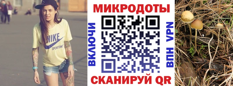 Галлюциногенные грибы Cubensis  это какой сайт  Удачный 